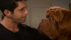 A man and his dog