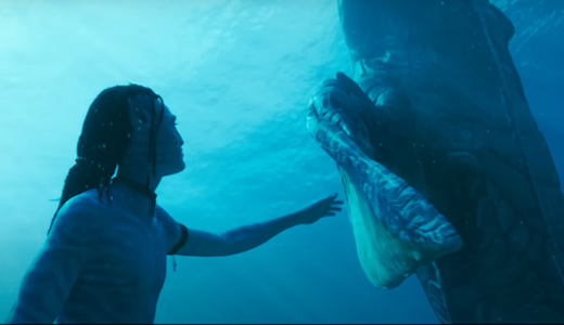 Way of water box office