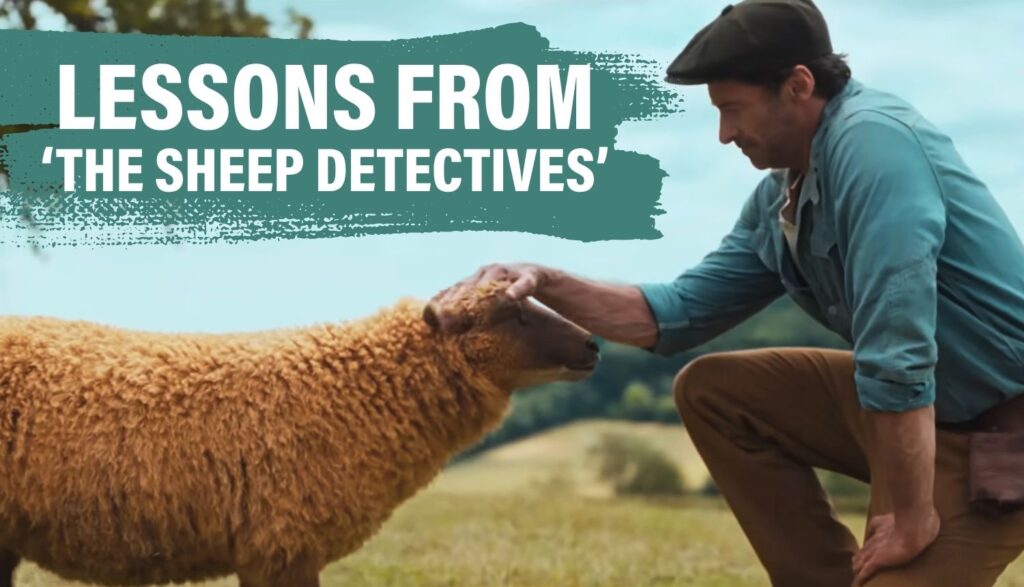 the sheep detectives