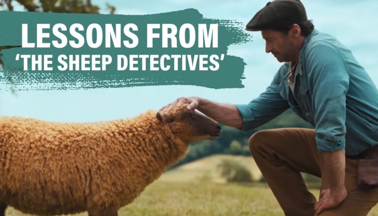 the sheep detectives